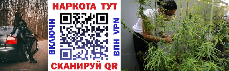 Купить наркотики сайты Циолковский Конопля  АМФЕТАМИН  Гашиш  Мефедрон  A PVP 