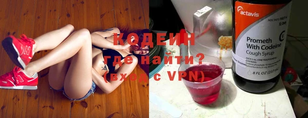 прущие грибы Краснослободск