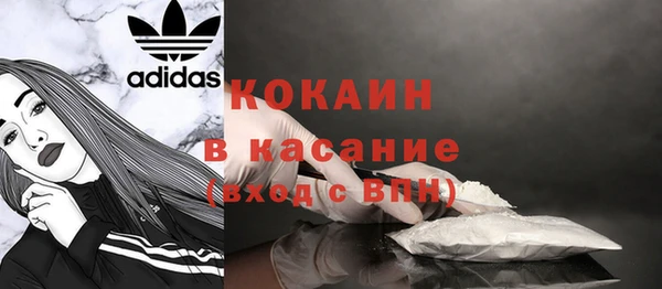 прущие грибы Краснослободск