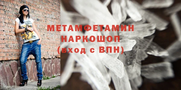 прущие грибы Краснослободск
