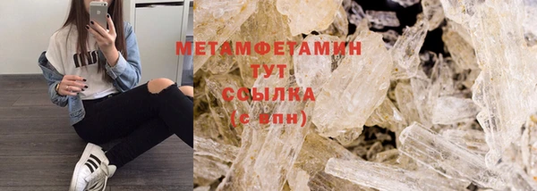 прущие грибы Краснослободск